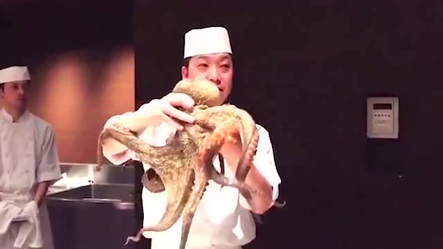 领略演一下老是蚊子刀工川菜原因切的跟针一样冬天家里豆腐有功底是什么厨师图片