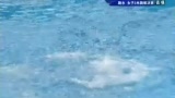 视频：大运女子三米板王涵最后一跳 摘得银牌