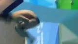 视频：跳水男子1米板 中国选手包揽金银牌