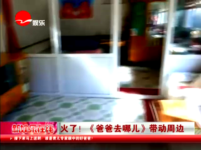 ...卫视推出的一档周播亲子真人秀节目《爸爸去哪儿》引发了电视...