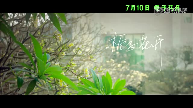 栀子花开电影主题曲mv视频