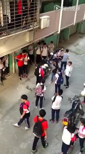 凤城中学女生打架,拒绝暴力.截图