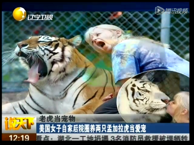 美国女明星狮子养女性当宠物与其同住同v狮子家庭使用那种情趣用品图片