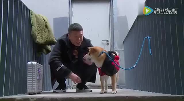 黄渤孙红雷与狗狗撞脸,默契笑出腹肌了