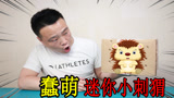 小浪哥88元开箱蠢萌"非洲迷你刺猬"这个小东西,也太可爱了吧!