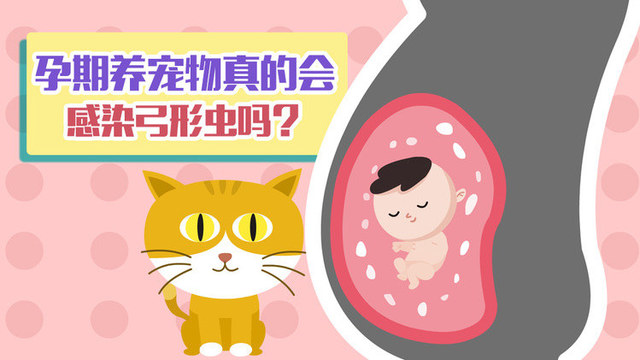 孕期养宠物,真的会感染弓形虫吗?