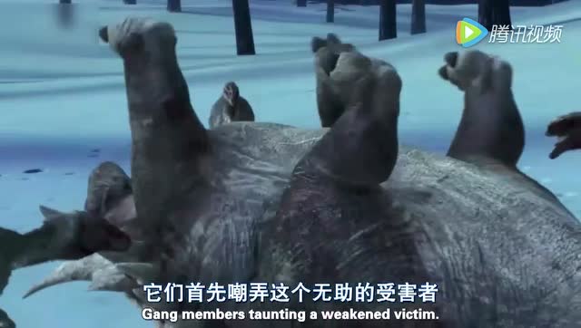 风神翼龙 与恐龙同行 侏罗纪世界 恐龙乐园 恐龙战队