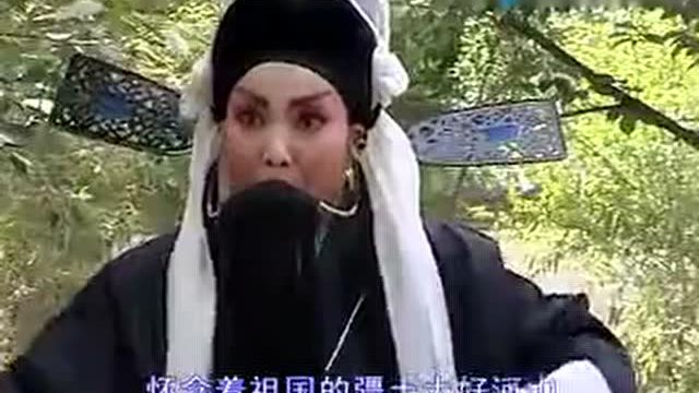 秦腔《哭秦庭》选段 马敏婵