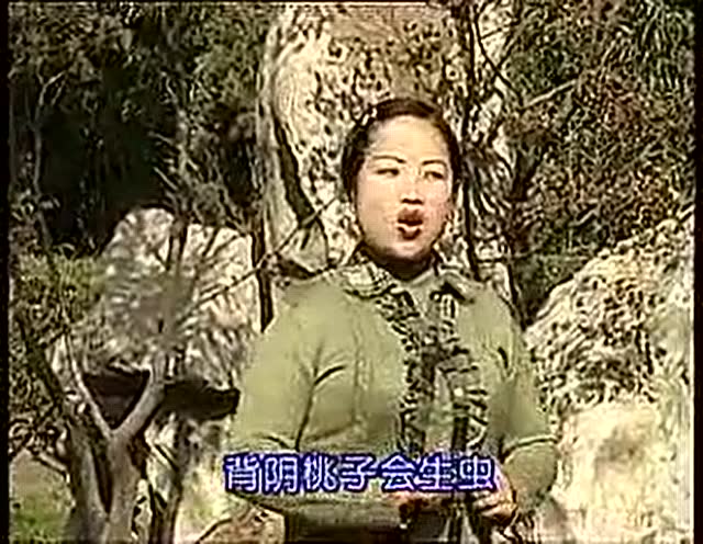 云南山歌皇后张黎