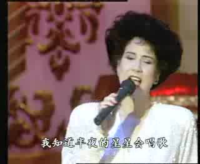 甄妮《鲁冰花》1991年春晚现场版