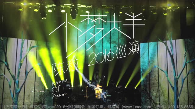 沙滩音乐节陈粒2