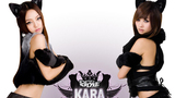 Kara2011スペシャルメドレー（11/12/31 红白歌会现场版）