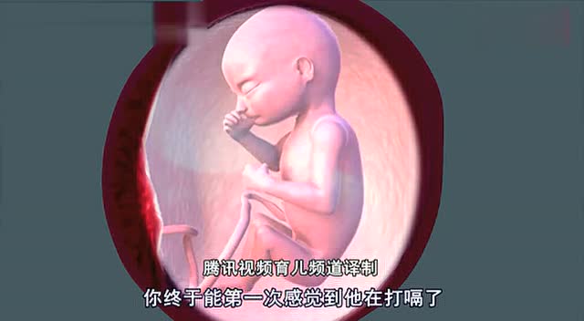 生命起源:人类受孕过程