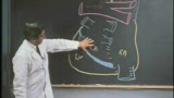 1.心脏的解剖图_临床解剖学（斯坦福）