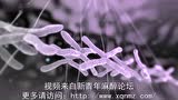 医学动画：心脏解剖及工作原理_腾讯视频