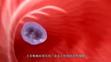 什么是癌症？用3D医学动画告诉你_腾讯视频