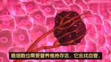 带你了解癌细胞的演变过程