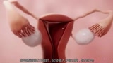 3D动画演示女人排卵与月经原理过程