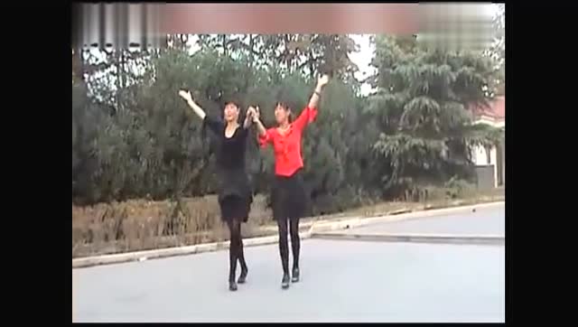美女双人舞《红尘情歌 》不同于广场舞 很是优雅,别致 !