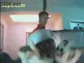 后舍男生本草纲目