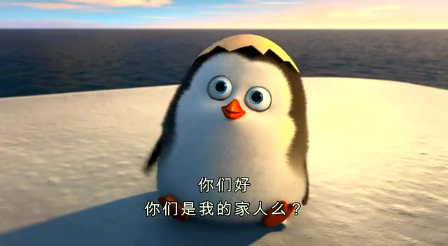 《马达加斯加的企鹅》上映 揭秘萌贱特工秘籍