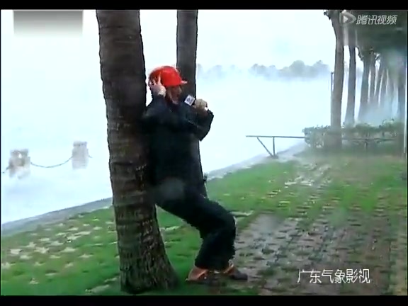 实拍记者绑大树播报台风实况截图