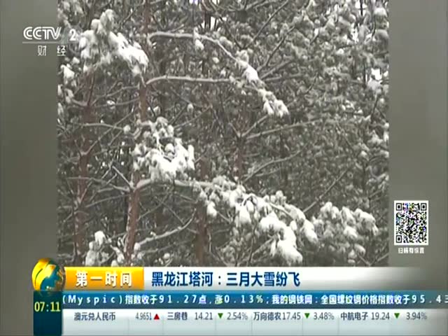 黑龙江塔河:三月大雪纷飞图片