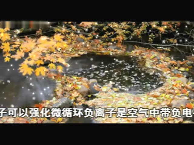 血液微循环与健康图片