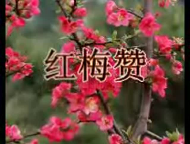 李本良演奏的二胡曲《红梅赞》