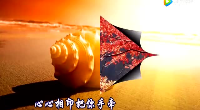 一曲《若有缘再相见》