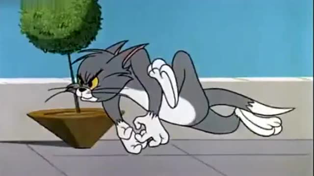 汤姆猫和杰瑞鼠,欢乐无限啊!