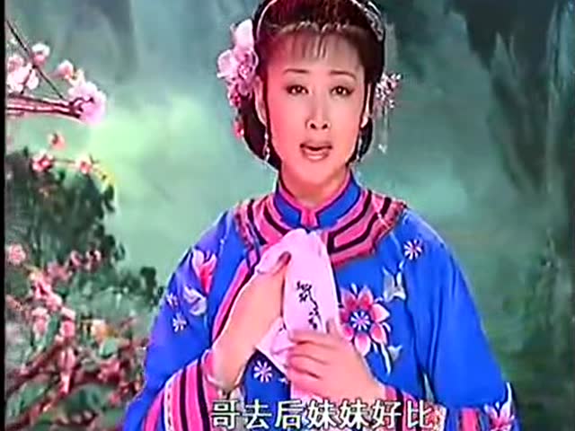 黄梅戏韩再芬专辑 黄梅戏《小辞店》唱段