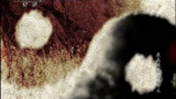 科学解密太极拳的威力第4集