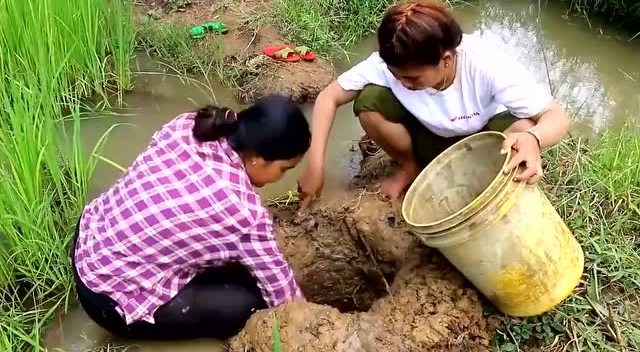 农村妇女到水沟里挖坑捉鱼,这事有人干过吗?