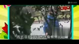 1.2;http://static.video.qq.com/TPout.swf?vid=u0010HxWFRQ&attstart=0&attend=87&exid=k0&showend=1&title=%E8%88%92%E6%B7%87%E8%89%B3%E7%85%A7%E8%A2%AB%E6%89%92%E5%90%8E%E5%86%8D%E7%8E%B0%E8%BA%AB%20%E6%B7%B1%E5%A4%9C%E5%AF%86%E4%BC%9A%E6%97%A7%E7%88%B1%E5%86%AF%E5%BE%B7%E4%BC%A6
