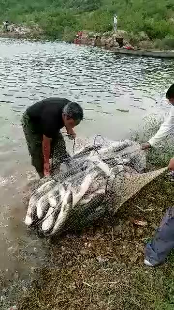 路亚鲈鱼翘嘴光鱼《火车头大灌猎鲈第二季》