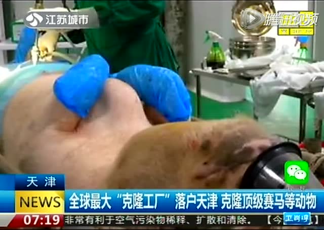 天津建全球最大复制动物工厂 将克隆宠物犬等截图