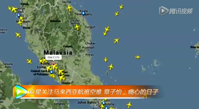 众星关注马来西亚航班空难 章子怡：痛心的日子截图