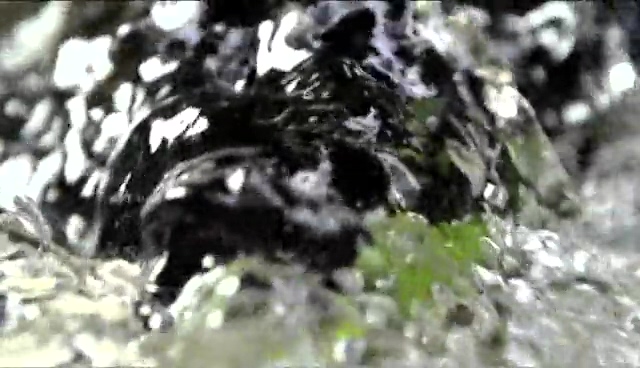央视纪录片《茶,一片树叶的故事》30秒预告片