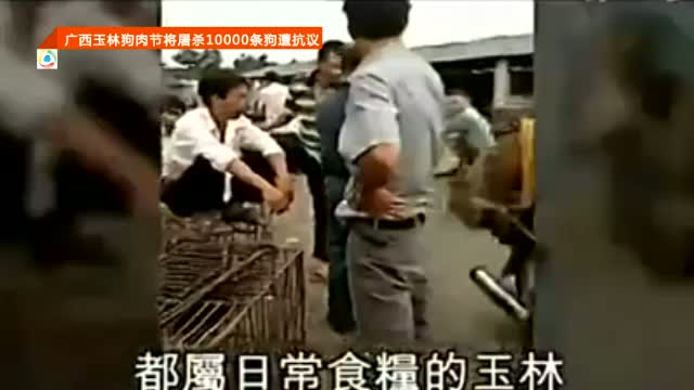 广西玉林狗肉节将屠杀10000条狗遭抗议截图