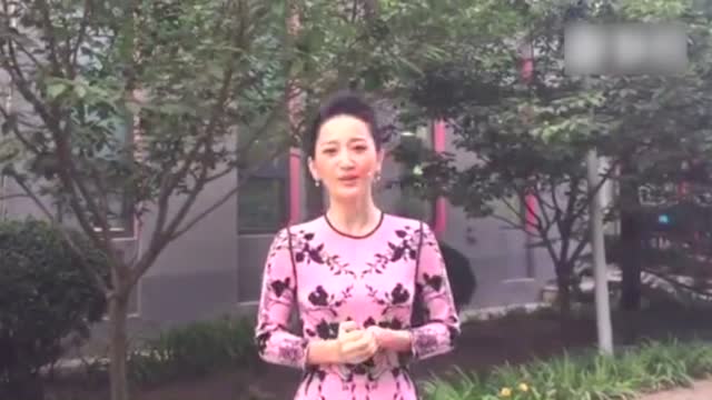 端午将至 央视主持人谢颖颖邀您分享端午记忆