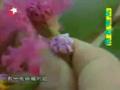 芙蓉姐姐模仿秀