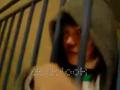 dodolook.假裝冤枉阿~大人.dodolook