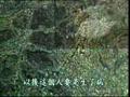 素食利益2