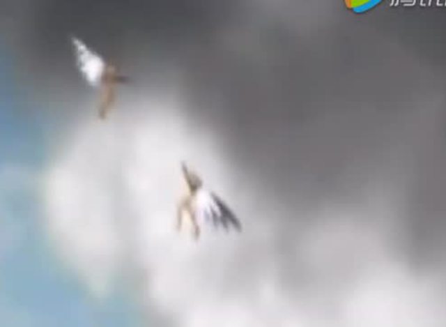 电视摄影师偶然拍摄到 空中飞翔的2个不明生物