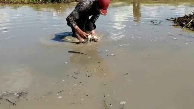 实拍:柬埔寨一对胖母女去田边抓鱼,看到最后我想抽她!
