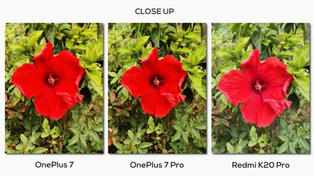 红米K20 Pro、一加7 Pro、一加7拍照清晰度对比评测