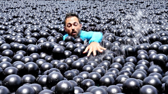 在10000个黑球里游泳，是种怎样的体验？