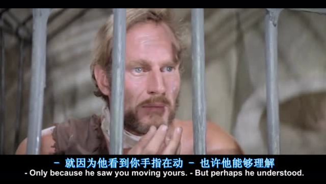 当动物统治地球的时候_动物世界 当动物统治地球的时候