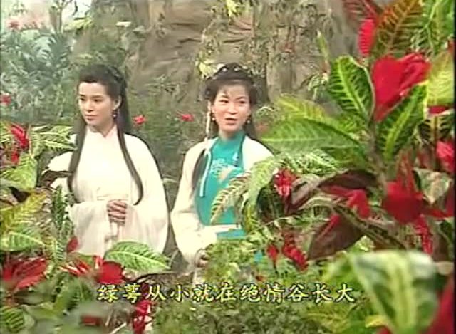 小龙女,公孙绿萼,两大美女绝情谷赏花!